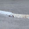 Slab floor cracks showing in a Hazard home