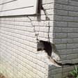 foundation walls cracked due to settlement in Lexington