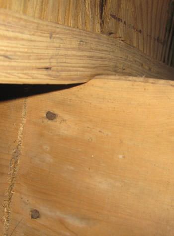 severe damage to a crawl space structure in a Campbellsville home