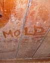 The word mold written with a finger on a moldy wood wall in Berea