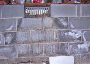 Open crawl space vents allowing in humidity and water in Wilmore