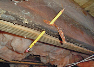 Destroyed crawl space structural wood in Cynthiana