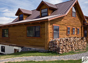Termite-ridden firewood stacked alongside a home in Frankfort