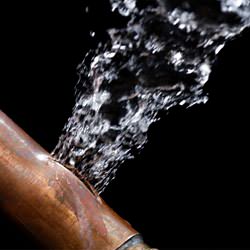 A bursting copper pipe in Nicholasville, with water gushing out.