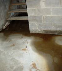 Flooding floor cracks by a hatchway door in Stearns