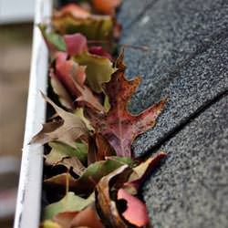Clogged gutters filled with fall leaves  in Columbia