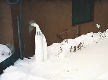 IceGuard® Installed Nicholasville